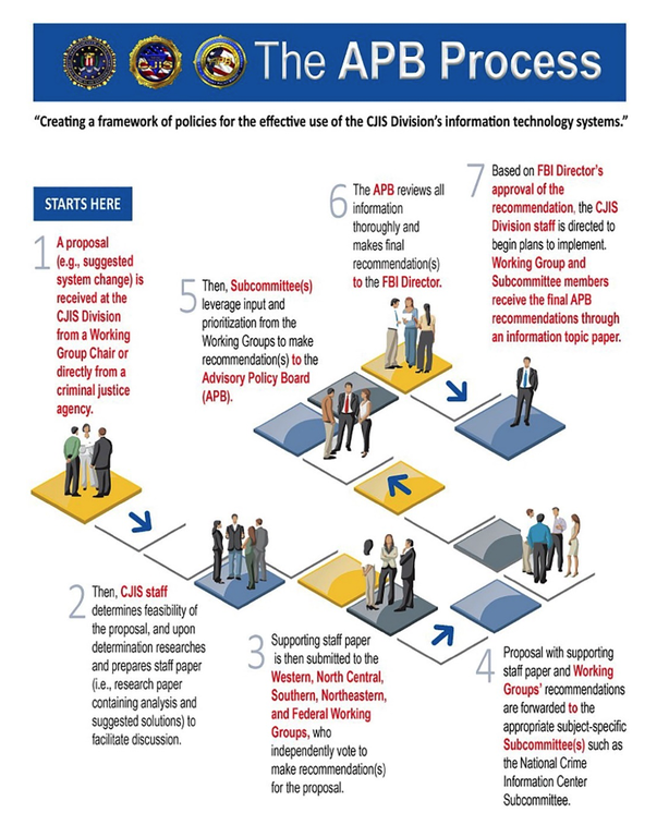Graphic showing the seven steps of the Advisory Policy Board process.