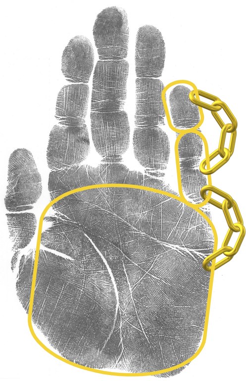 CJIS Palm Print Diagram with Links CJIS Palm Print Diagram with Links