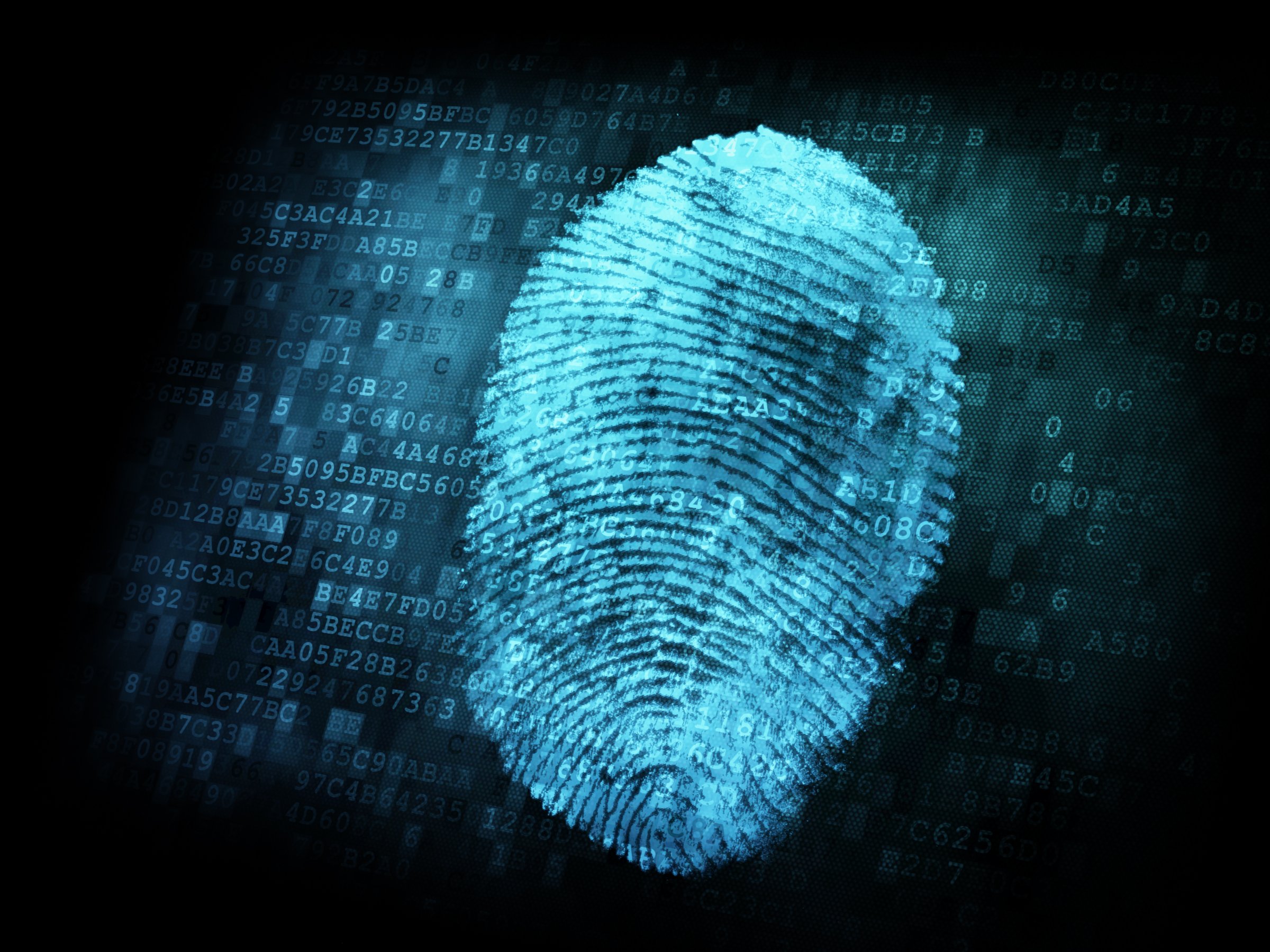 Fingerprint on Digital Screen (Stock Image)
